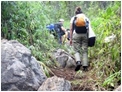 Chiang Dao Hiking