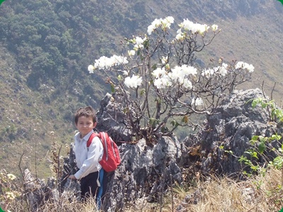 Chiang Dao Hiking