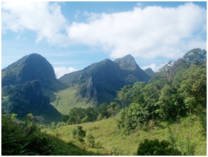 Chiang Dao Nature