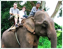 Chiang Dao Elephant Rides