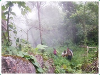 Chiang Dao Area, north of Chiang mai is mountainous